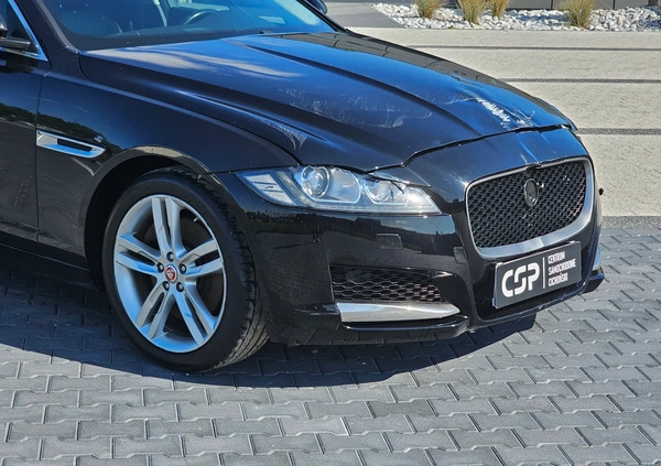 Jaguar XF cena 39900 przebieg: 91101, rok produkcji 2016 z Środa Śląska małe 781